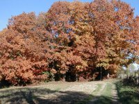 Le Puy en Velay